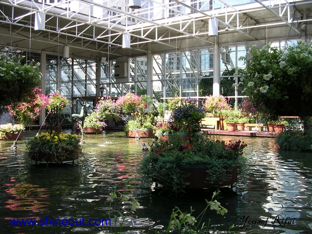 .Calgary shopping mall.