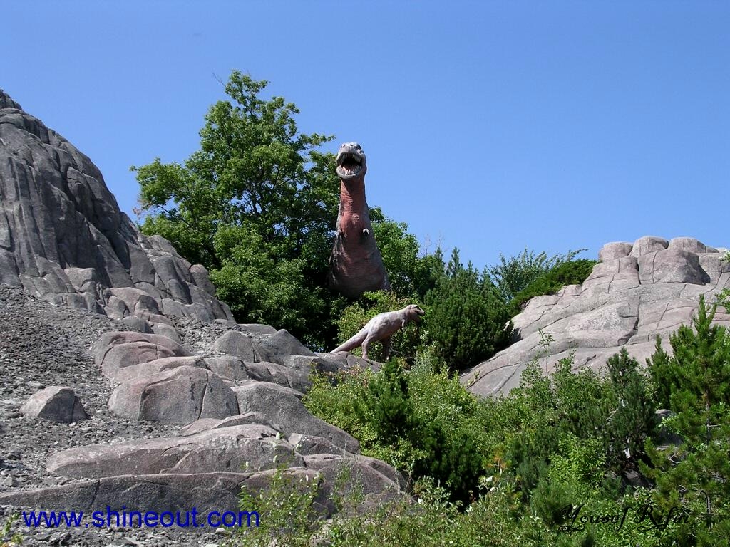 Calgary Zoo, Alberta.  Camera: Nikon Coolpix 3100