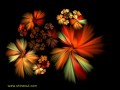 Thumbs/tn_flowers-090313-1.jpg
