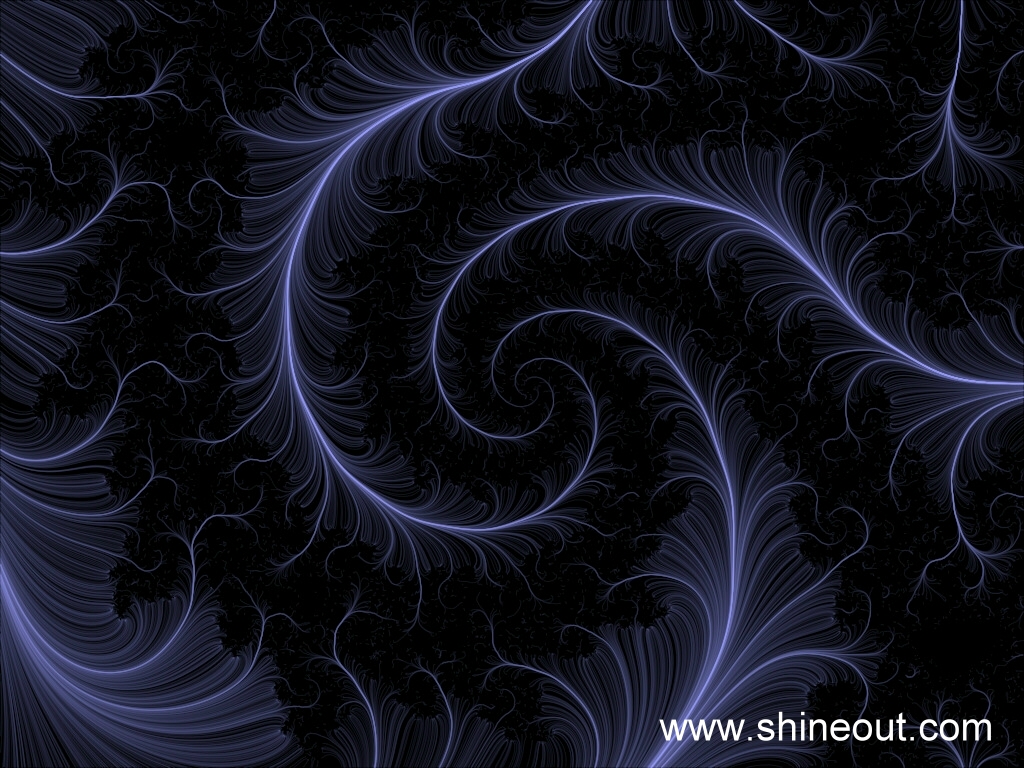 ../Images/hair_2_09.jpg